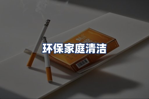 环保家庭清洁